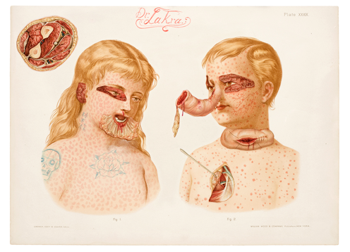 Carousel Image number 7