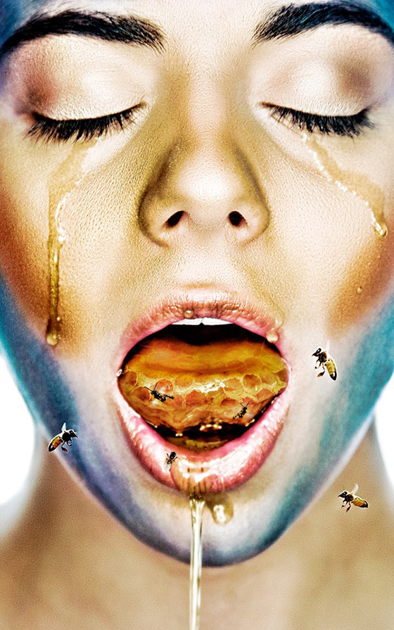 Carousel Image number 6