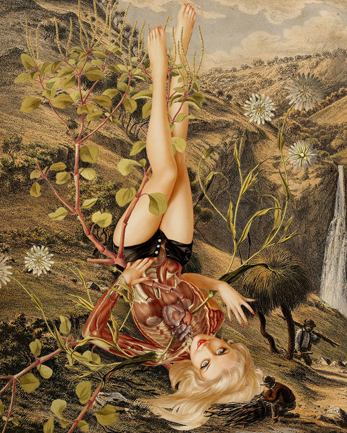 Carousel Image number 2