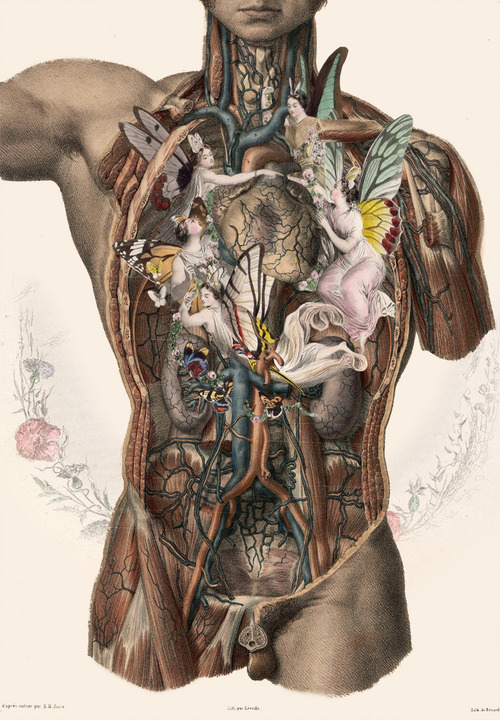 Carousel Image number 4