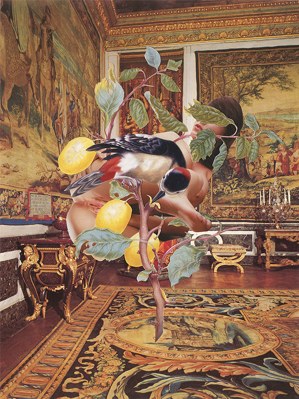 Carousel Image number 3