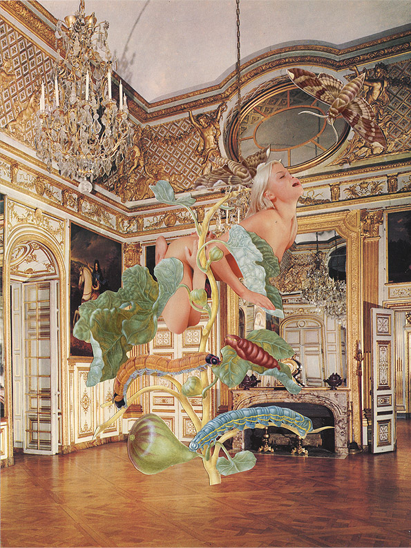Carousel Image number 4