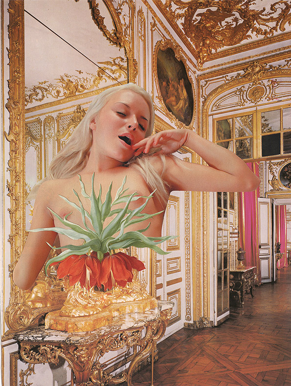 Carousel Image number 5