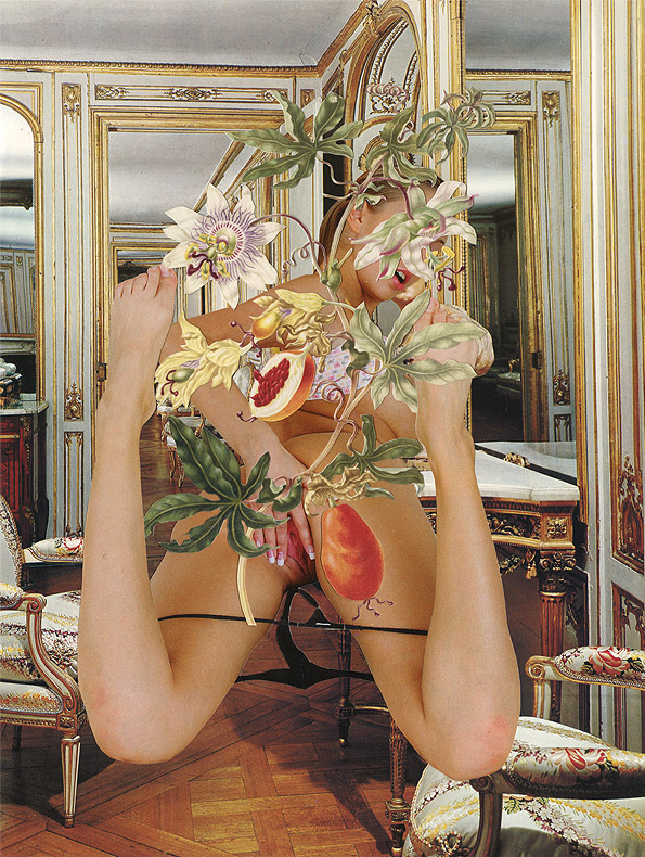 Carousel Image number 6