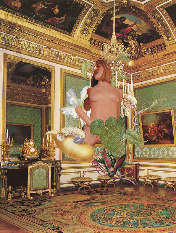 Carousel Image number 8
