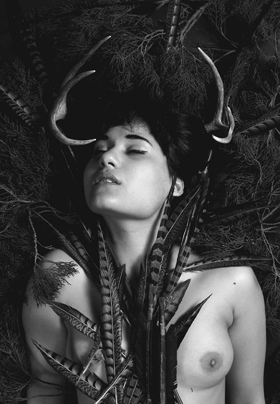 Carousel Image number 6