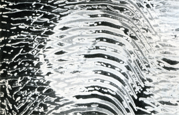 Carousel Image number 4