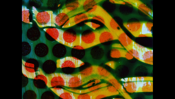 Carousel Image number 5