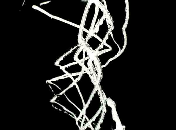 Carousel Image number 6