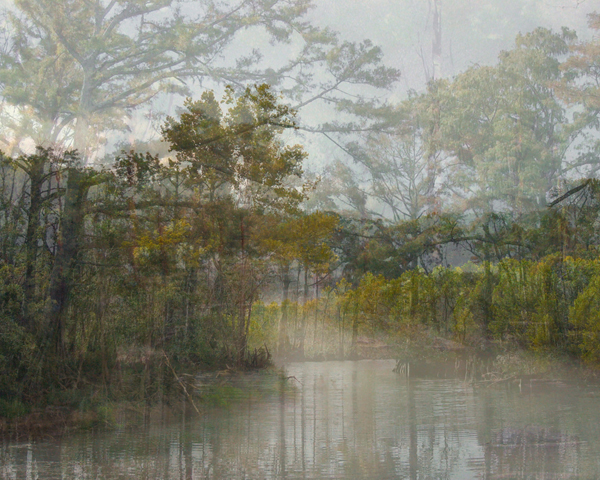 Carousel Image number 2