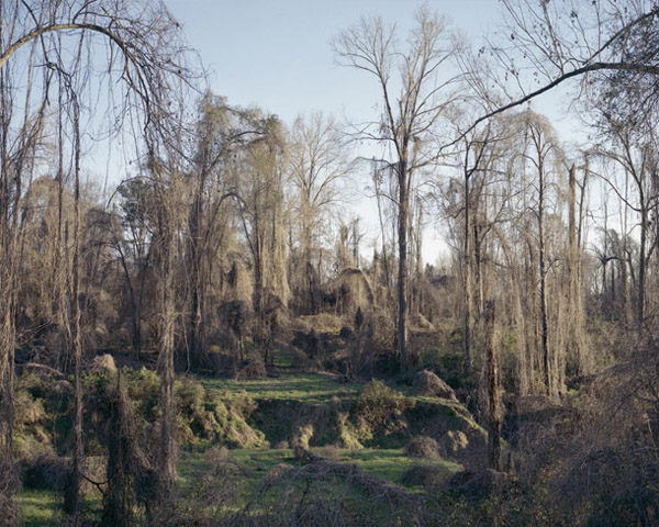 Carousel Image number 1