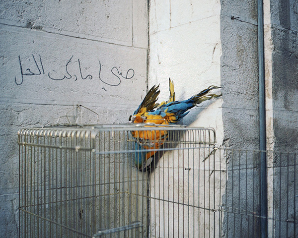 Carousel Image number 6