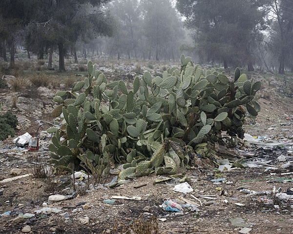 Carousel Image number 8