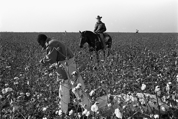 Carousel Image number 2