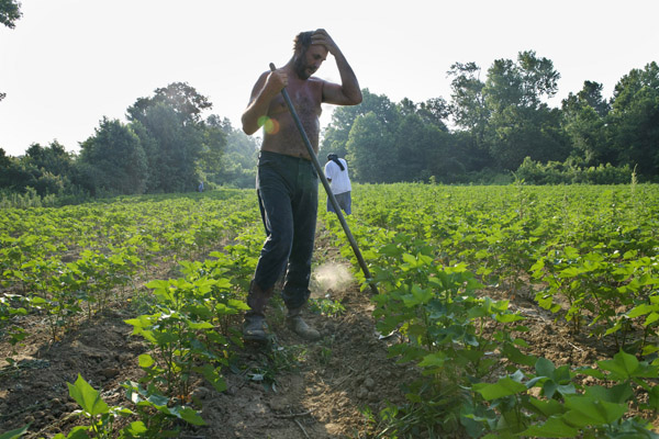 Carousel Image number 3