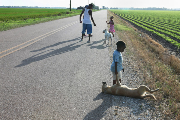 Carousel Image number 9