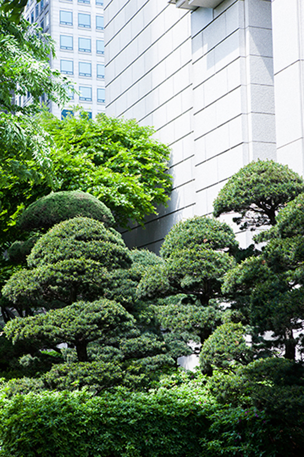 Carousel Image number 2