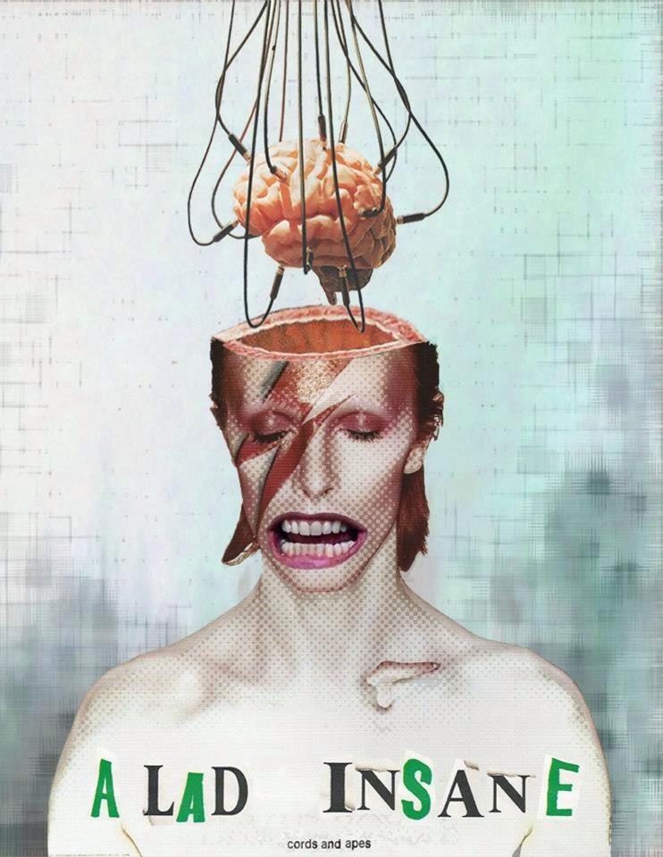 Carousel Image number 7