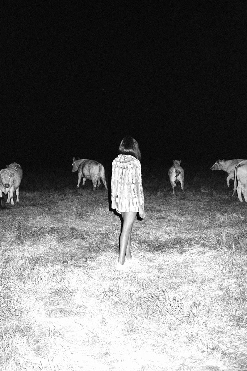 Carousel Image number 1