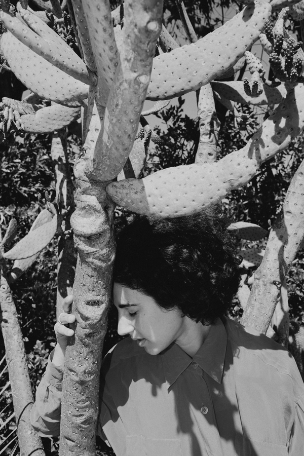 Carousel Image number 2