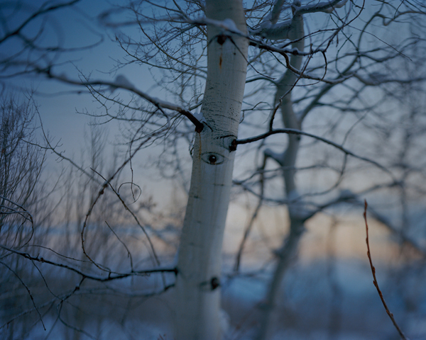 Carousel Image number 2