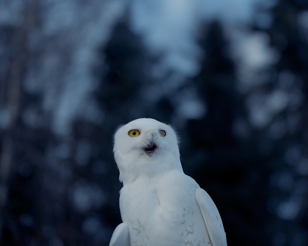 Carousel Image number 5