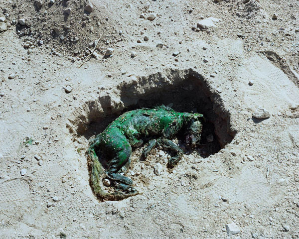 Carousel Image number 2