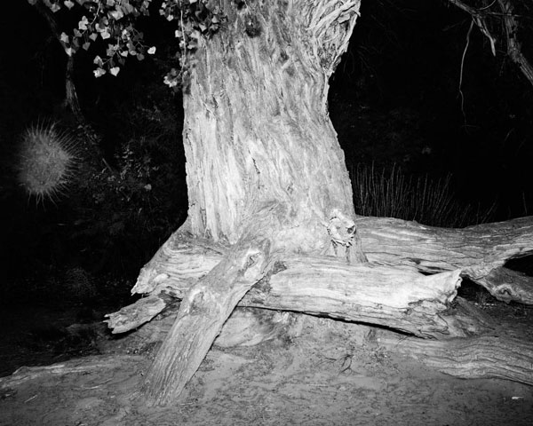 Carousel Image number 6