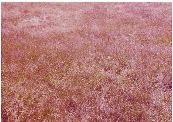 Carousel Image number 1