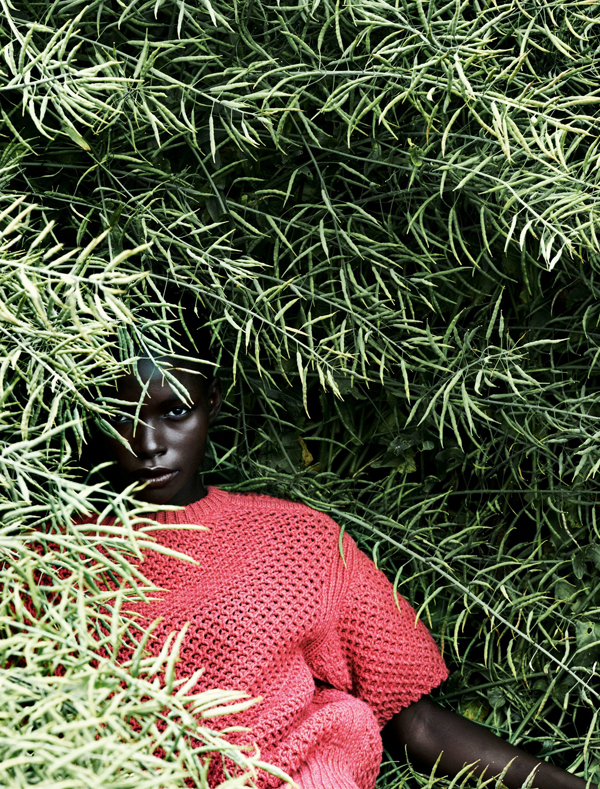 Carousel Image number 4