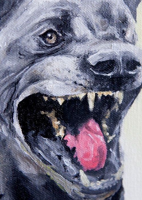 Carousel Image number 4