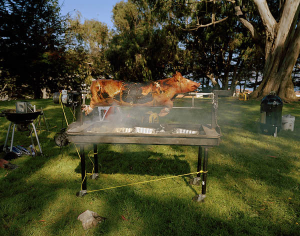 Carousel Image number 5