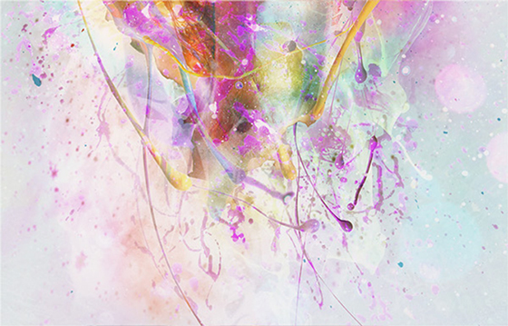 Carousel Image number 3