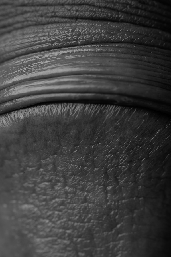 Carousel Image number 9