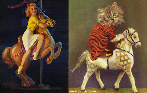 Carousel Image number 15