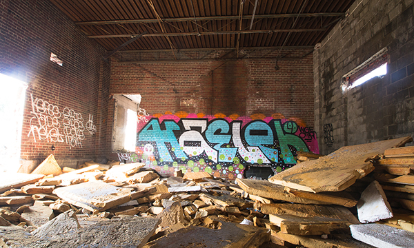 Carousel Image number 5