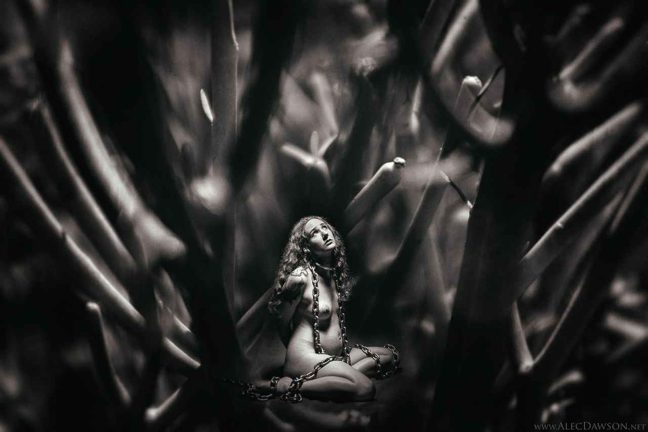 Carousel Image number 2