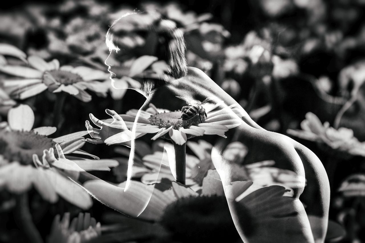 Carousel Image number 5