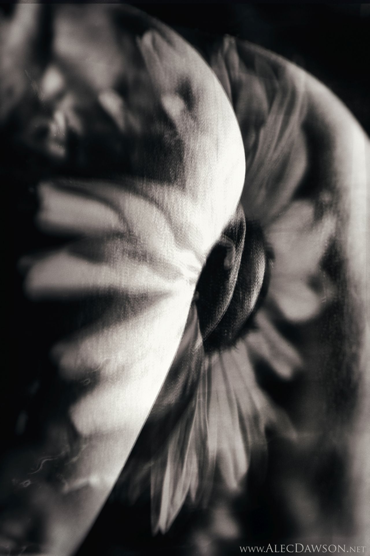 Carousel Image number 6