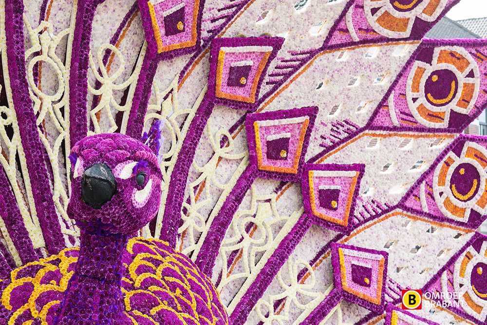 Carousel Image number 10