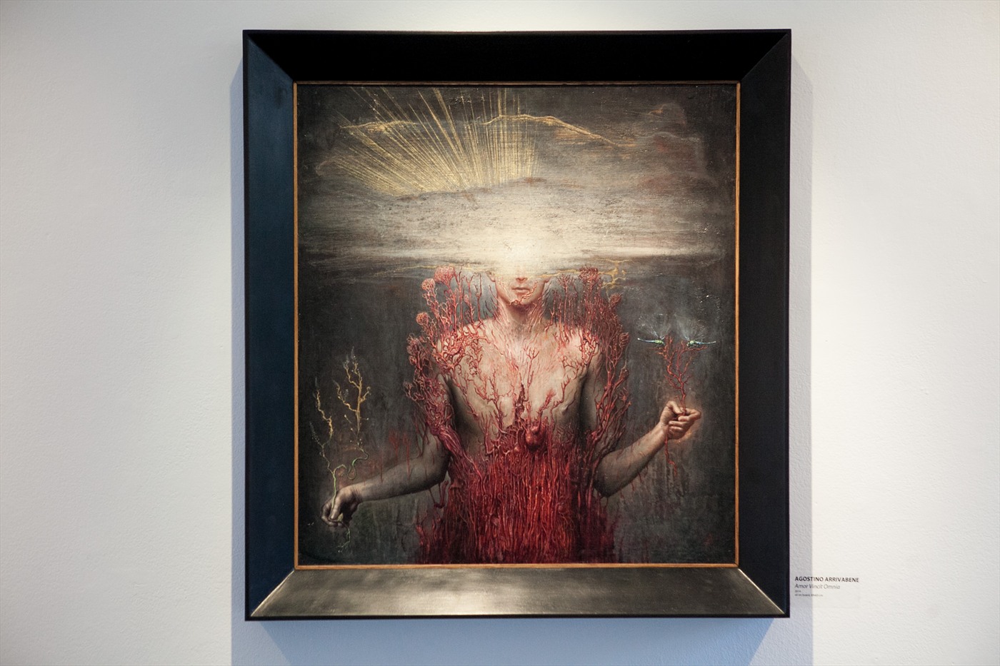 Carousel Image number 5