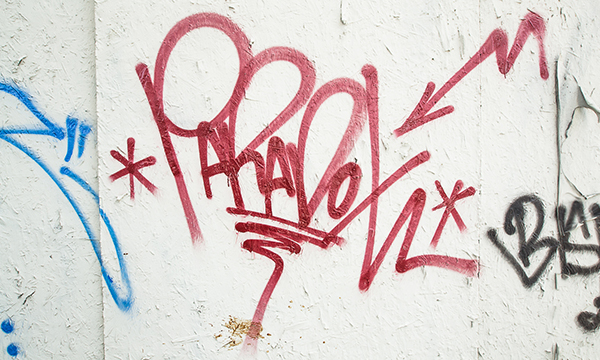 Carousel Image number 8