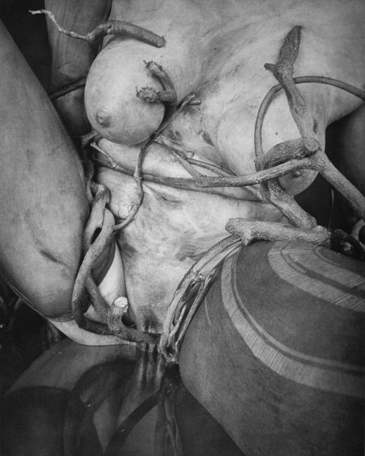 Carousel Image number 27