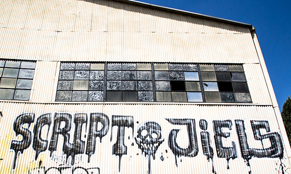 Carousel Image number 8