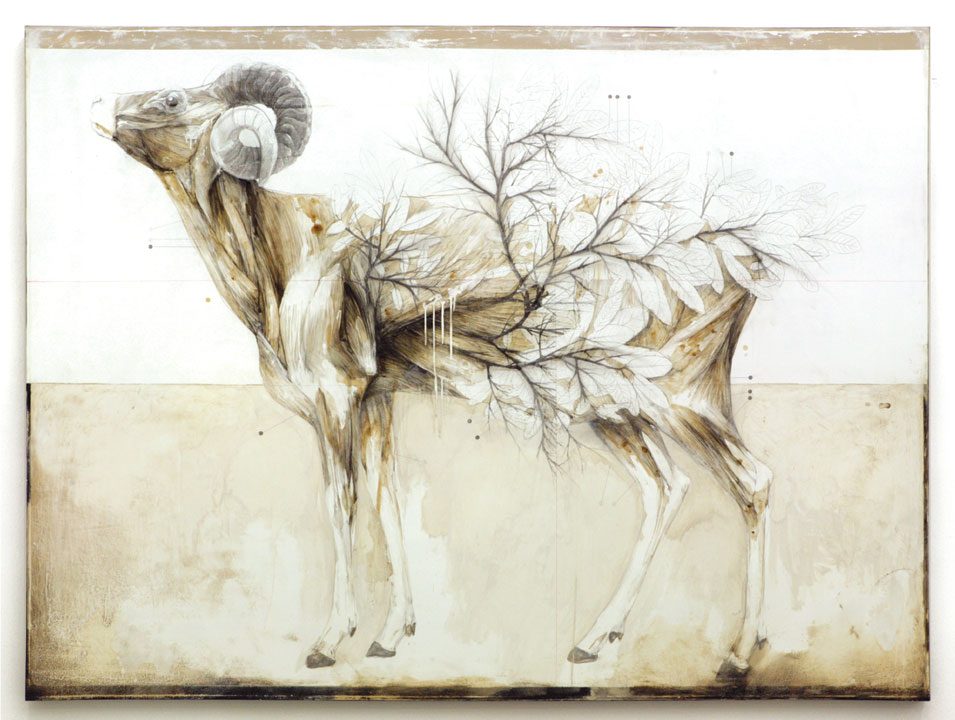 Carousel Image number 1