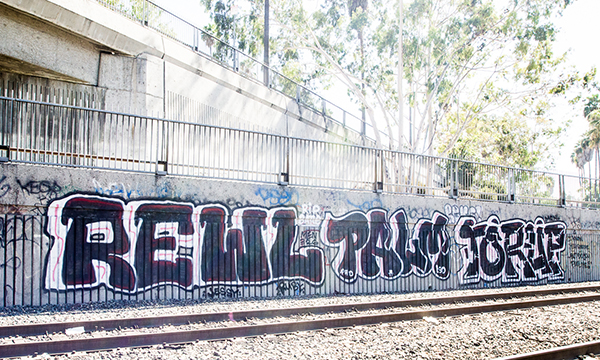 Carousel Image number 7