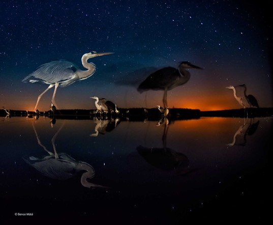 Carousel Image number 3