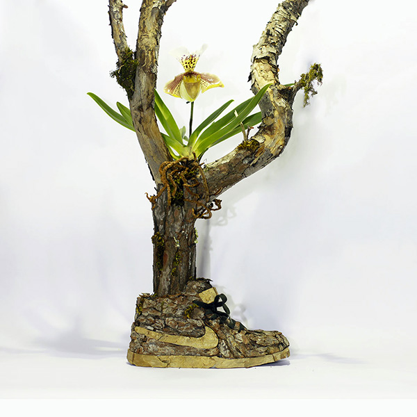 Carousel Image number 6
