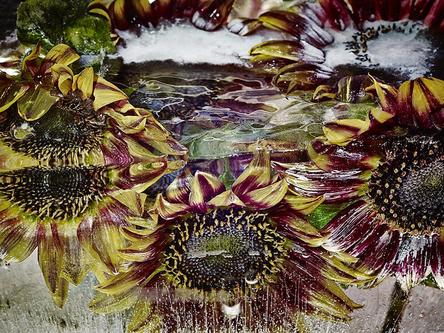 Carousel Image number 5