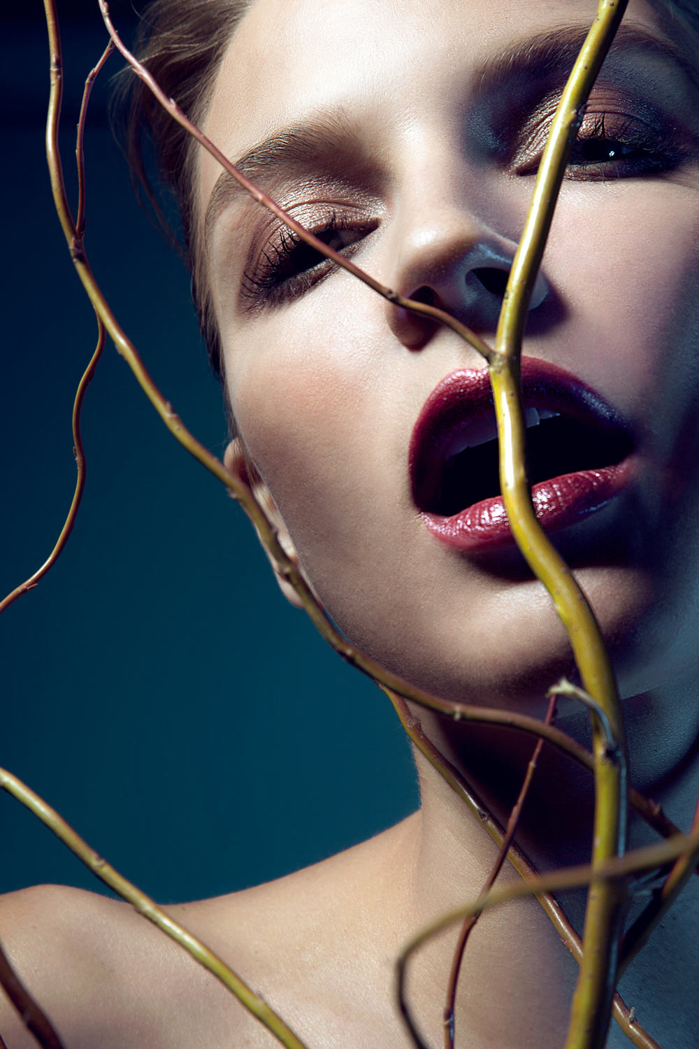 Carousel Image number 1